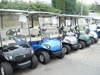 Used Golf Carts - Refurbished Cars for Sale | CGC