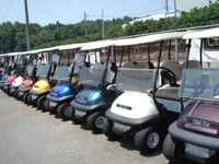 Used Golf Carts - Refurbished Cars for Sale | CGC