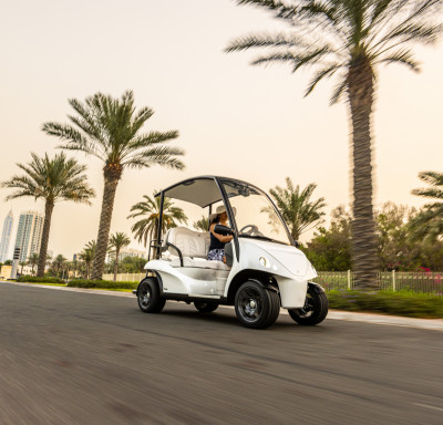 Street Legal Golf Carts for Sale – LSV | CGC